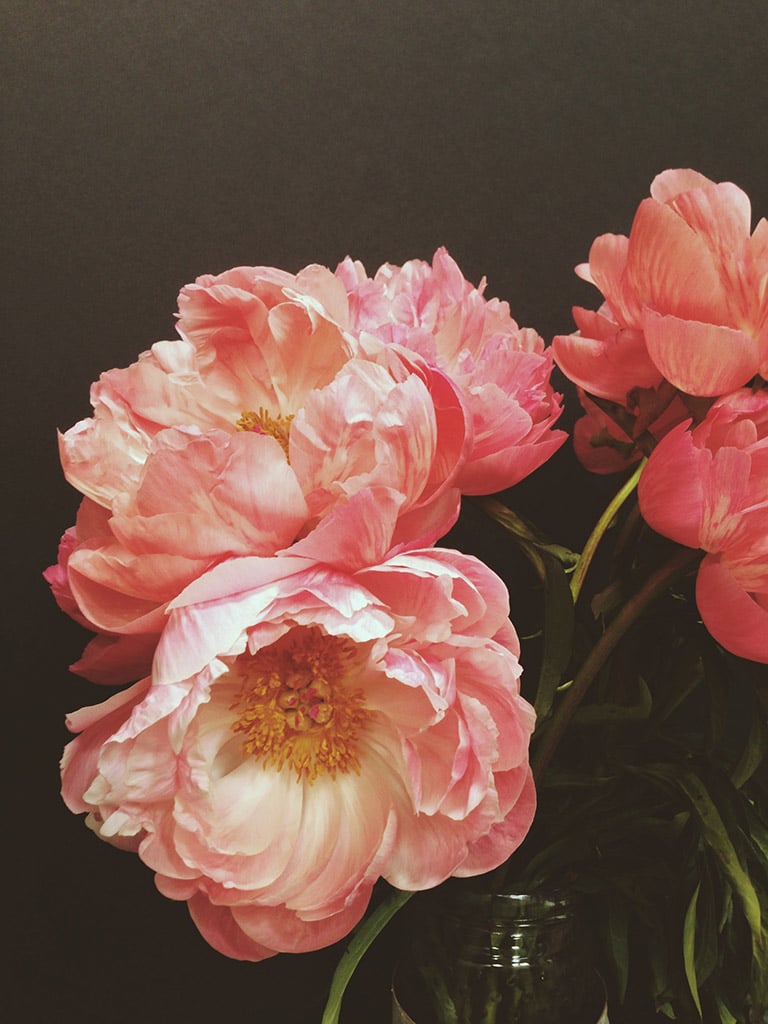 In bloom. Bek Stone → https://bek.is