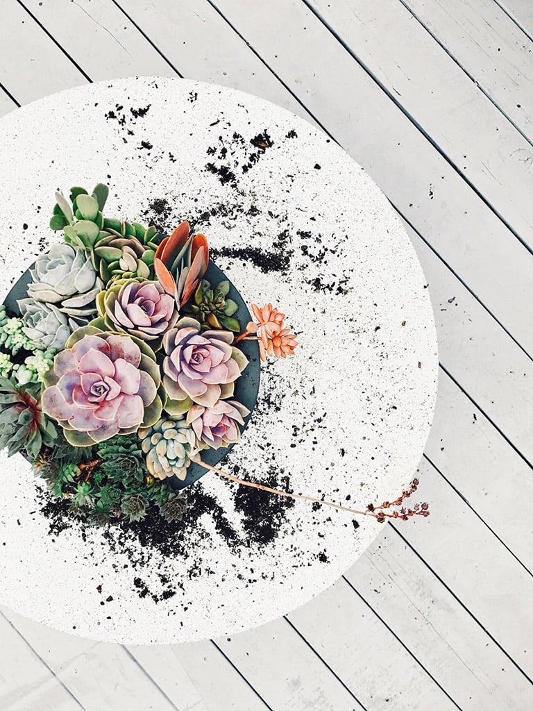 Designing succulent gardens. Bek Stone → https://bek.is